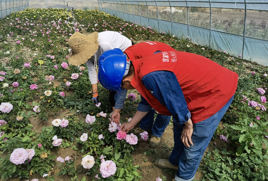 （Y，配图，国网定西市安定区供电公司持续(9794103)-20210822221034