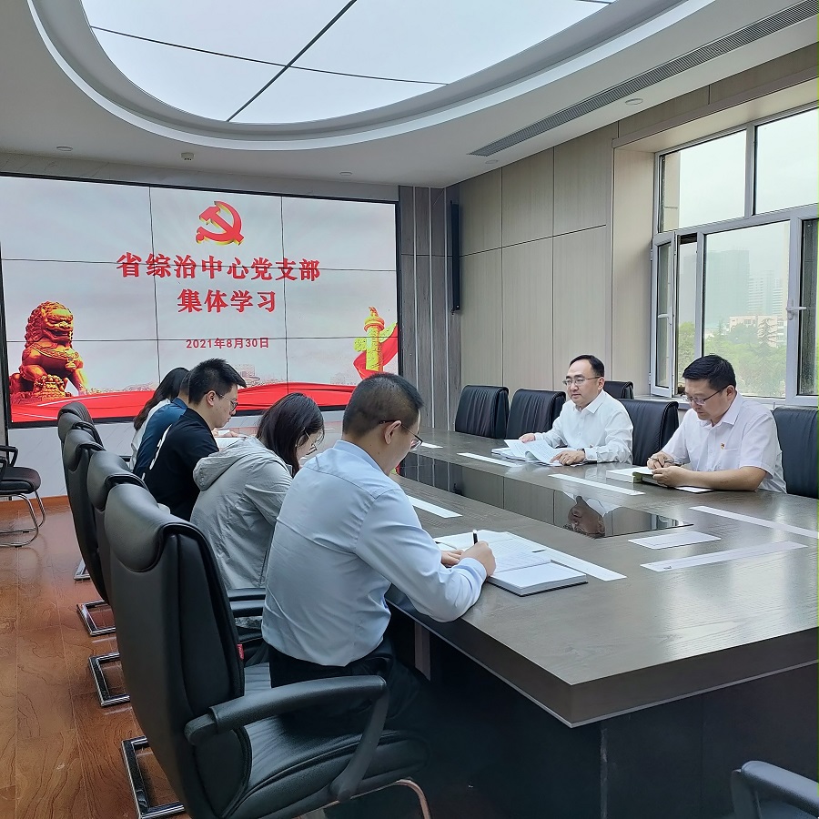 省综治中心党支部(9902156)-20210906094034