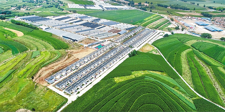 【祖国颂·陇原新气象】  玉黍穗黄季 小康圆梦时