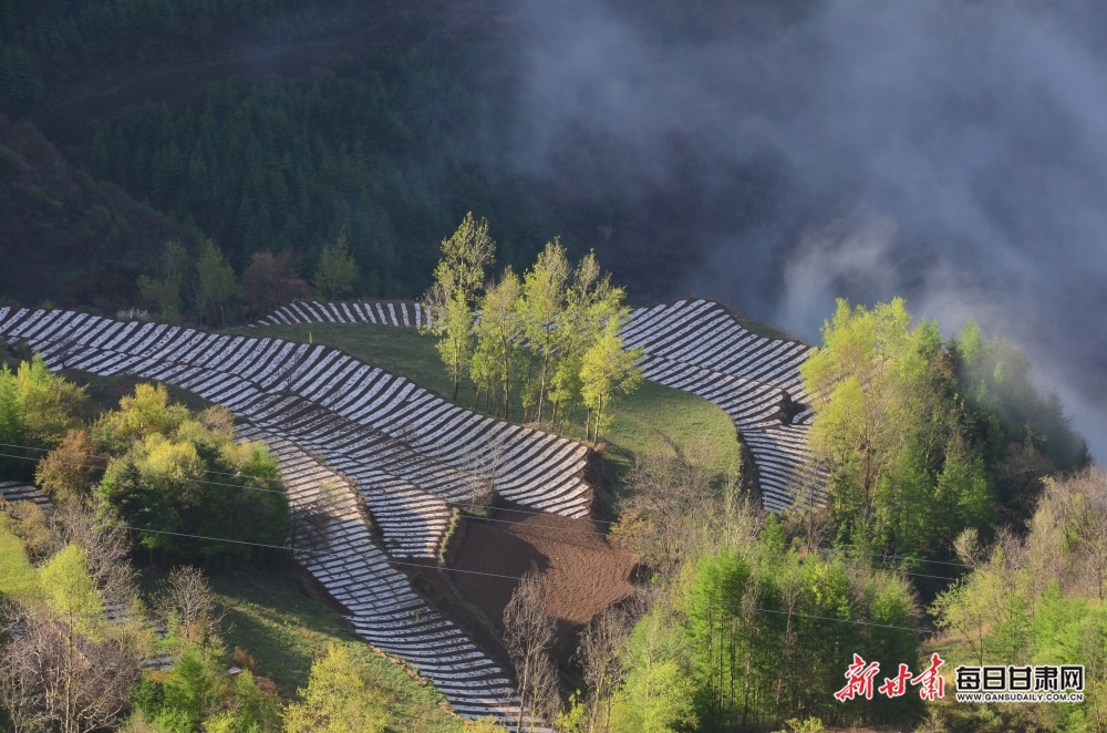 QQ图片20220425173716.jpg