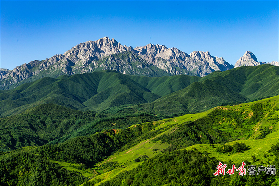 微信图片_20220510220113