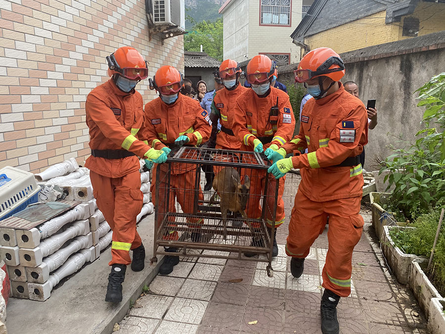 (wQYE 图文)陇南森林消防救助一只黄(13917935)-20220605193924 (wQYE 图文)陇南森林消防救助一只黄(13917935)-20220605193924