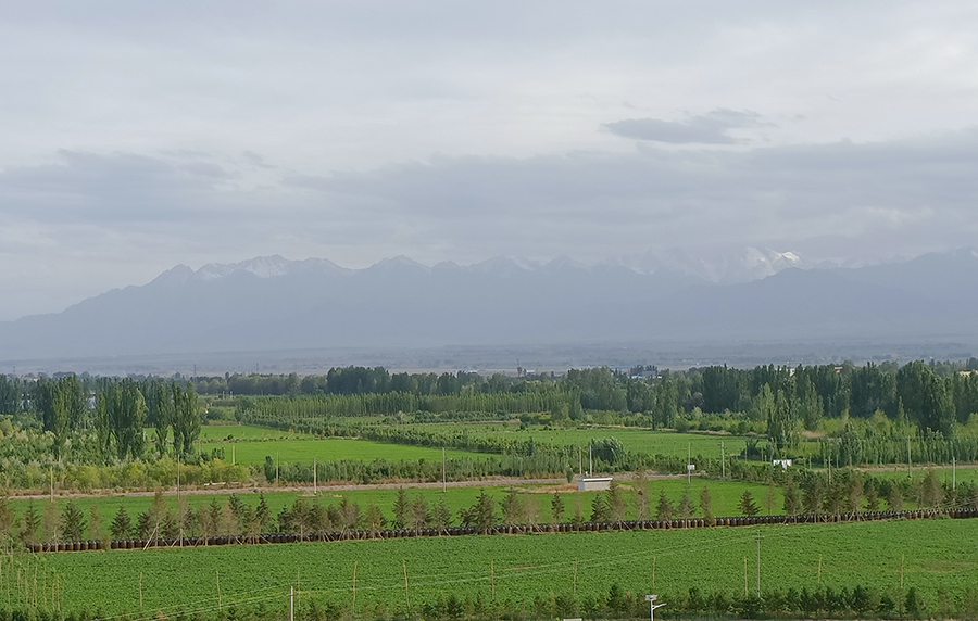 （wAQEY）（图配）水池倒映山景 花香(14153038)-20220615173834
