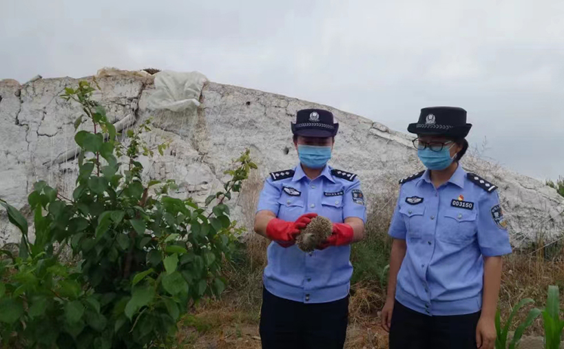 （WAqEY）（图配文）我省森林公安机关(15586329)-20220818152659