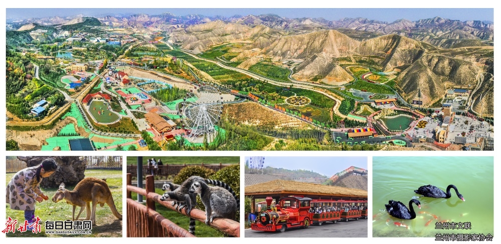 图片13.jpg