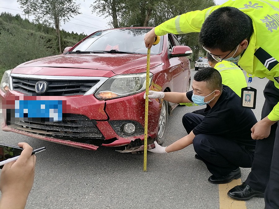（wAqEY）（文配图）榆中公安交警成功(15862172)-20220829170612