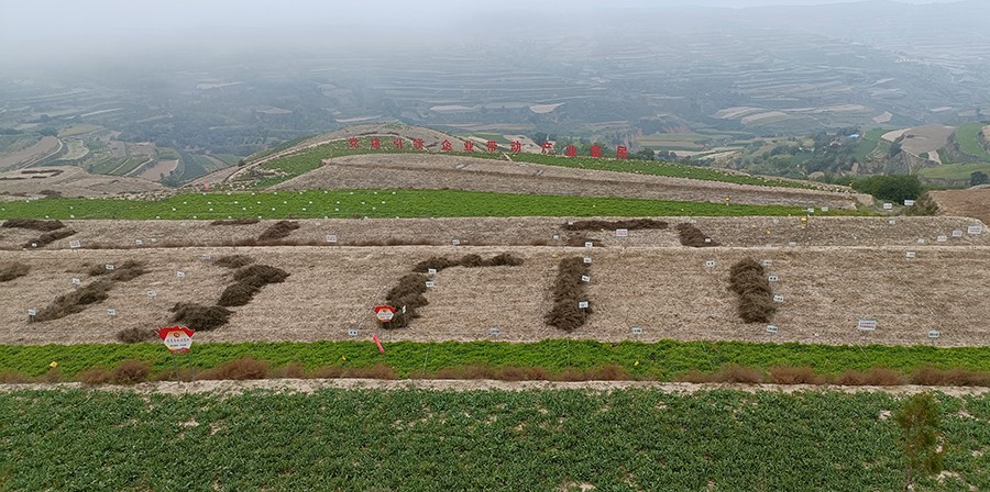 （AqEY，配图）陇西：“人大代表家站”(16301987)-20220919172137