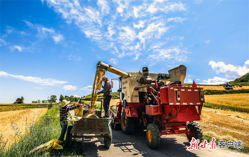 FZ007216491522_A3481179