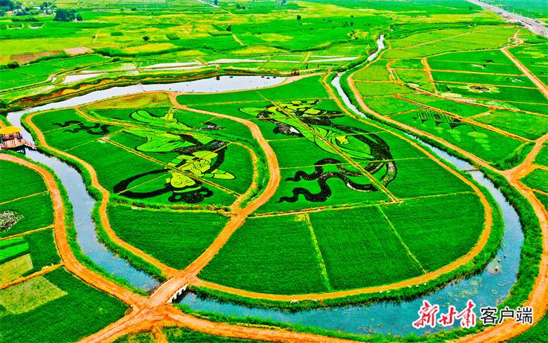 FZ007216491522_A3481178