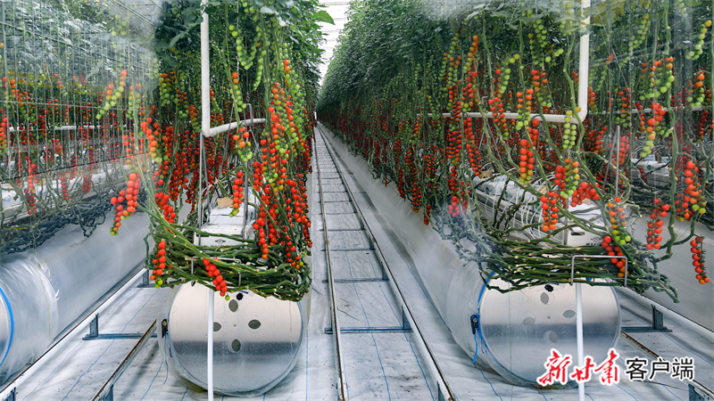 FZ007216491522_A3481183