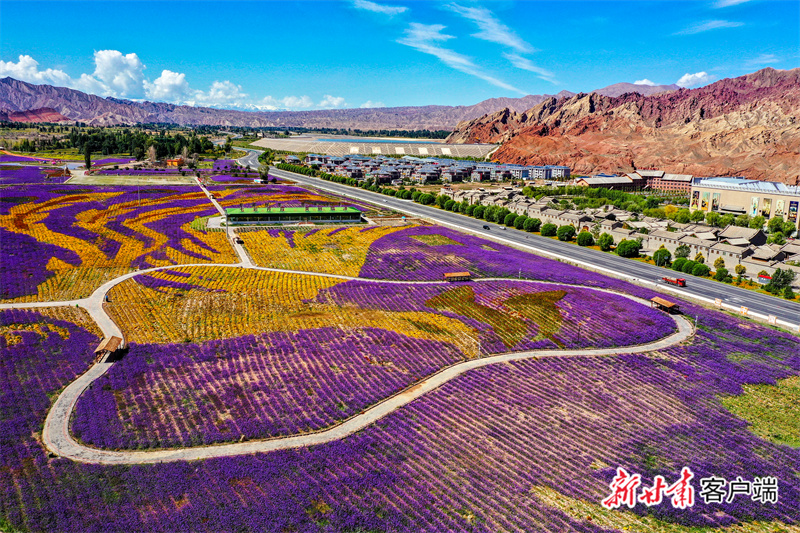 FZ007216491522_A3481181