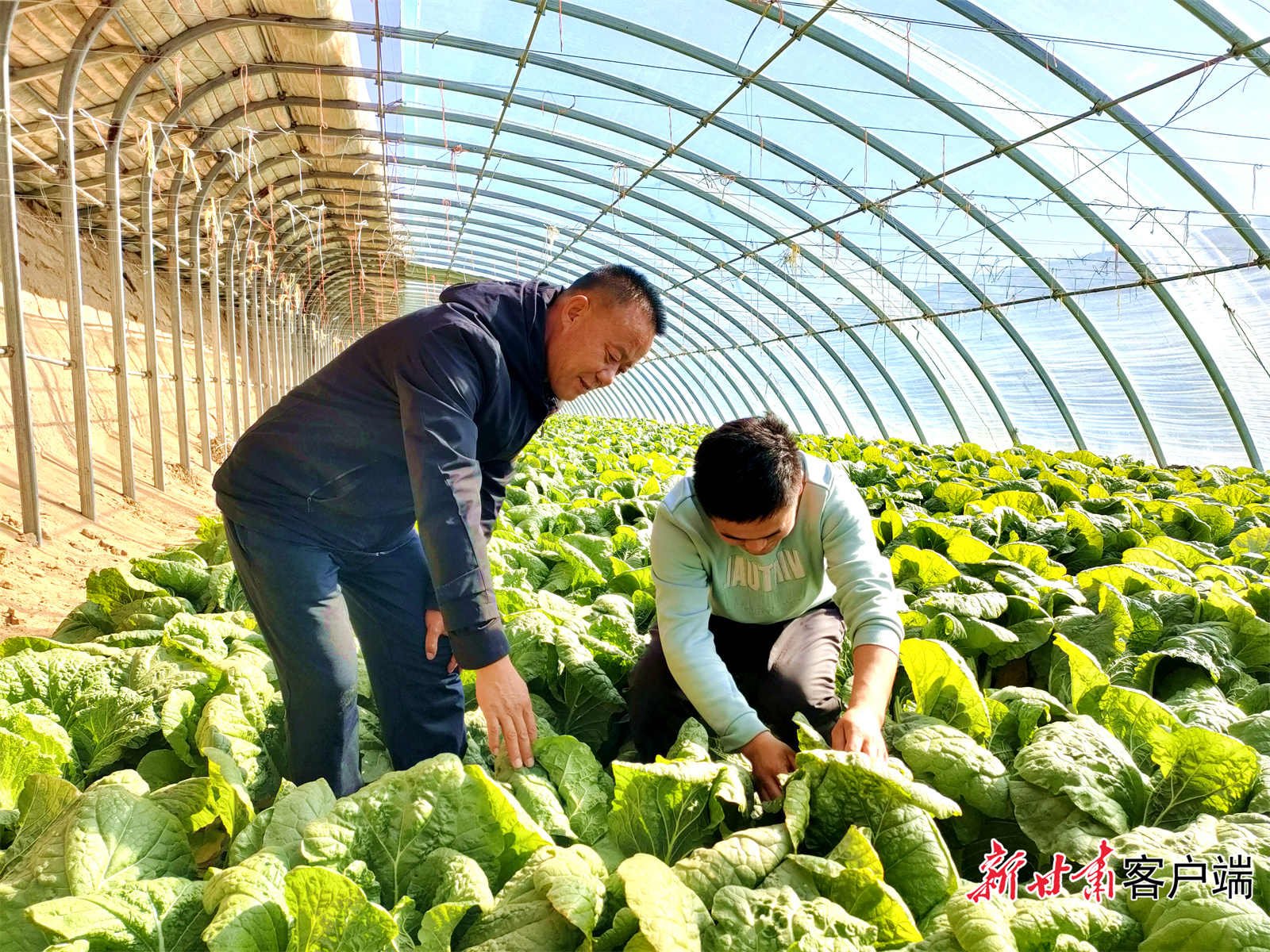 微信图片_20221116175523.jpg