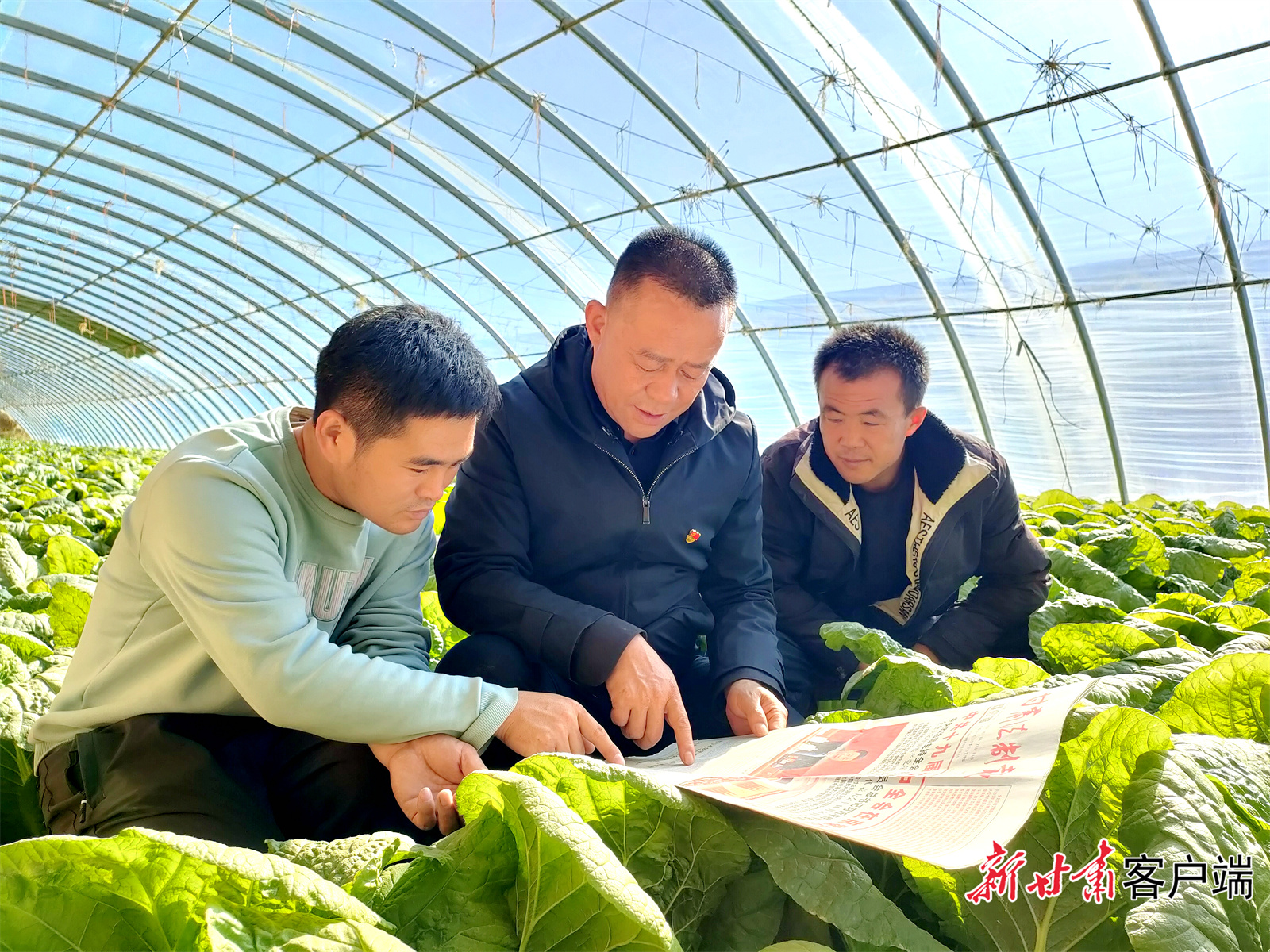 微信图片_20221116175537.jpg