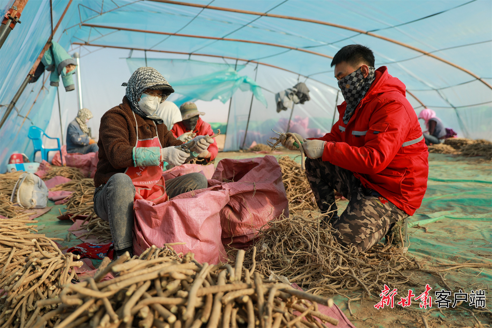 微信图片_202211241157271.jpg