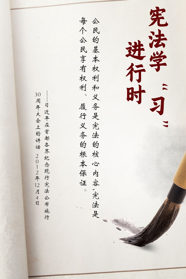 宪法宣传周·海报 | 宪法学“习”进行时（六）