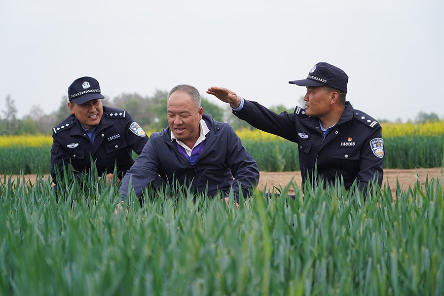 （QeYF,报纸刊发、配图、奖励）法治底(20454420)-20230301085605