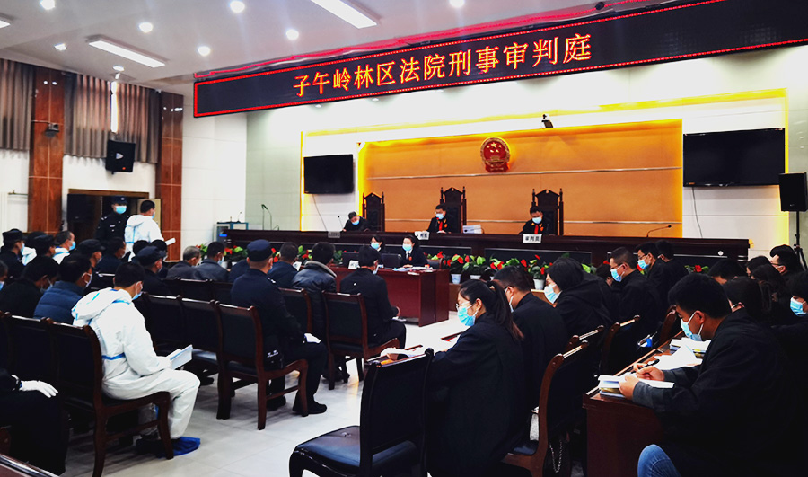 （WQEY）子午岭林区法院审理一起24人(21172842)-20230318134348