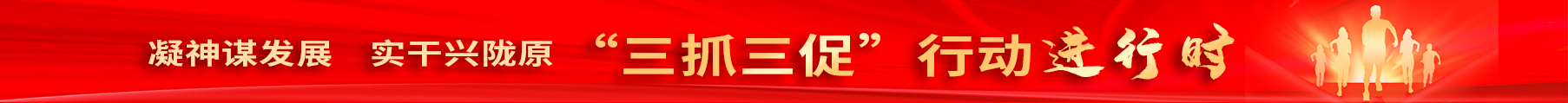 凝神谋发展 实平兴陇原 “三抓三促”行动进行时