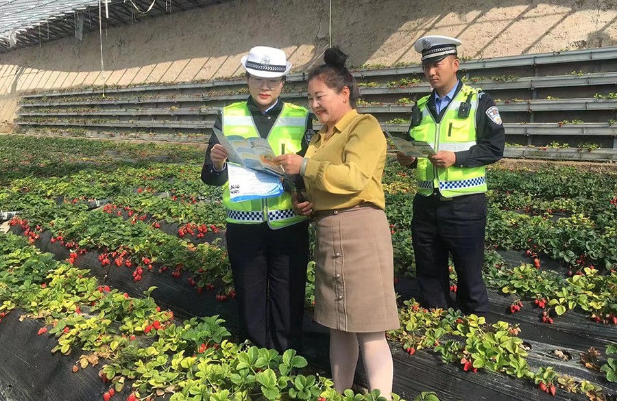 （wAQEY图配文）田间地头话安全(21807828)-20230416221839