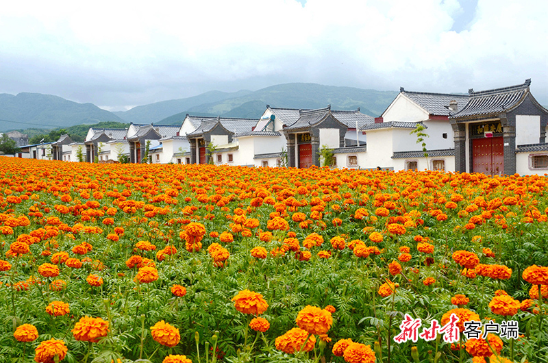 西华镇草滩村 赵灵虎摄.JPG