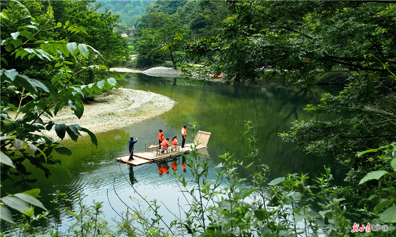 陇南市康县阳坝康养旅游区.jpg