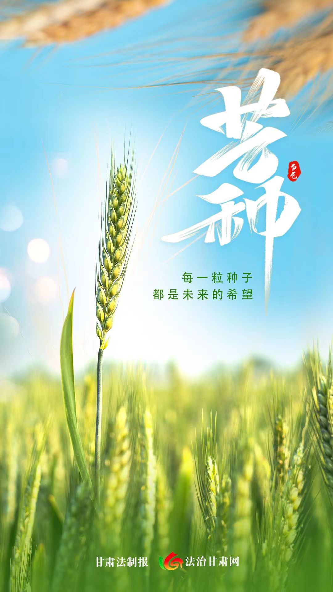 微信图片_20230606080657