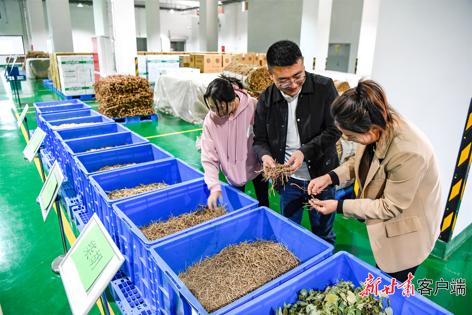 甘肃琦昆农业发展有限公司的中药材展示区.jpg