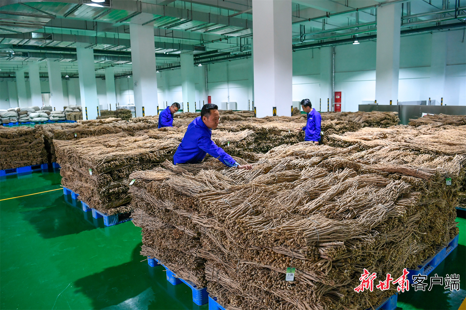 甘肃琦昆农业发展有限公司仓储库里的中药材.jpg