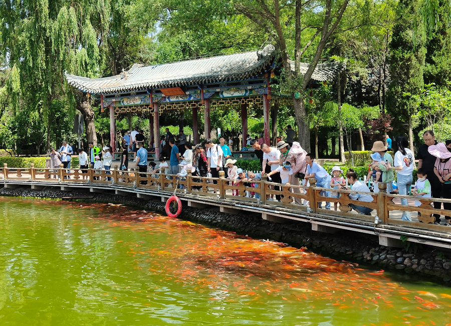 微信截图_20230625181522