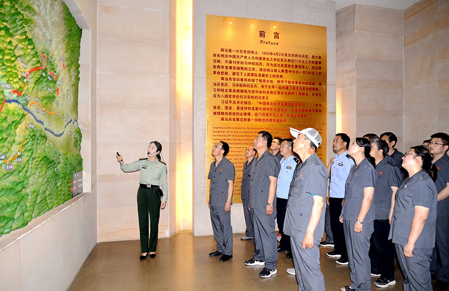 （WQEY 图片新闻）开展主题党日活动(23461195)-20230627080443