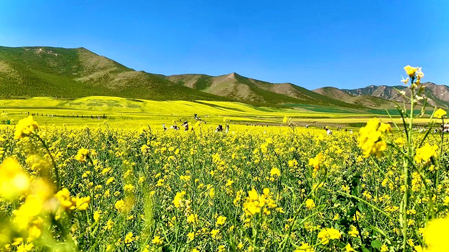 (AQEY图片新闻)持续的高温天气,使张(24879209)-20230821162530 (AQEY图片新闻)持续的高温天气,使张(24879209)-20230821162530