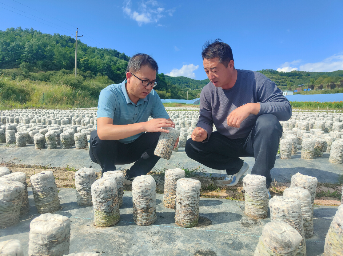 “多点开花”让产业兴村富民——记清水县秦亭镇麦池村第一书记汪文科