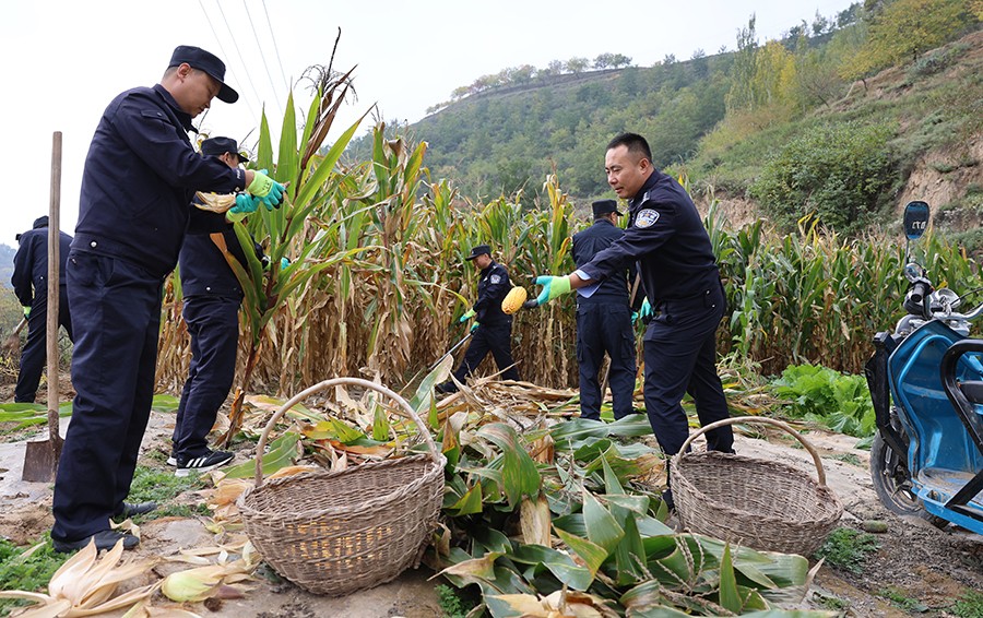 (AQEY配图)秋收时节“警”相随 护航(26305158)-20231012154104