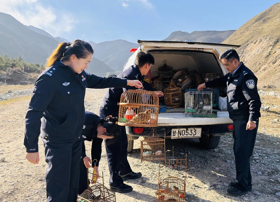 （WAQEY配图）救助野生动物 共建和谐(27128025)-20231108170218