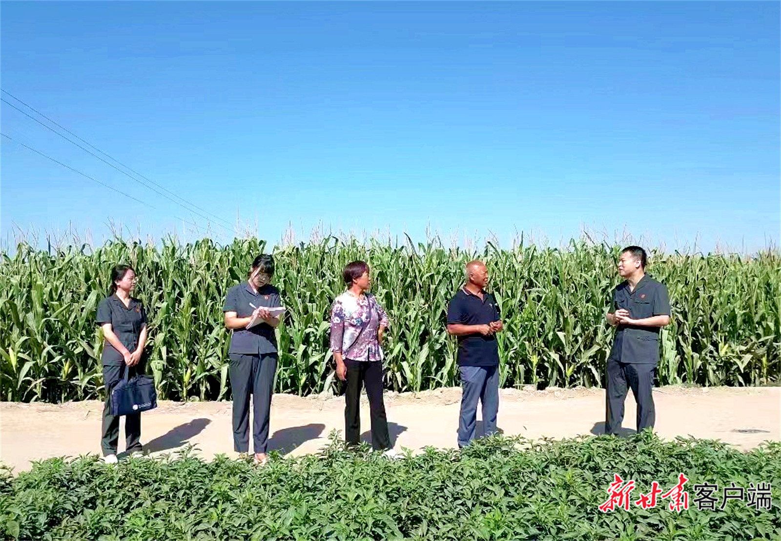 【新时代“枫桥经验”甘肃实践】武威市凉州区：化解“小”矛盾 调出“大”和谐