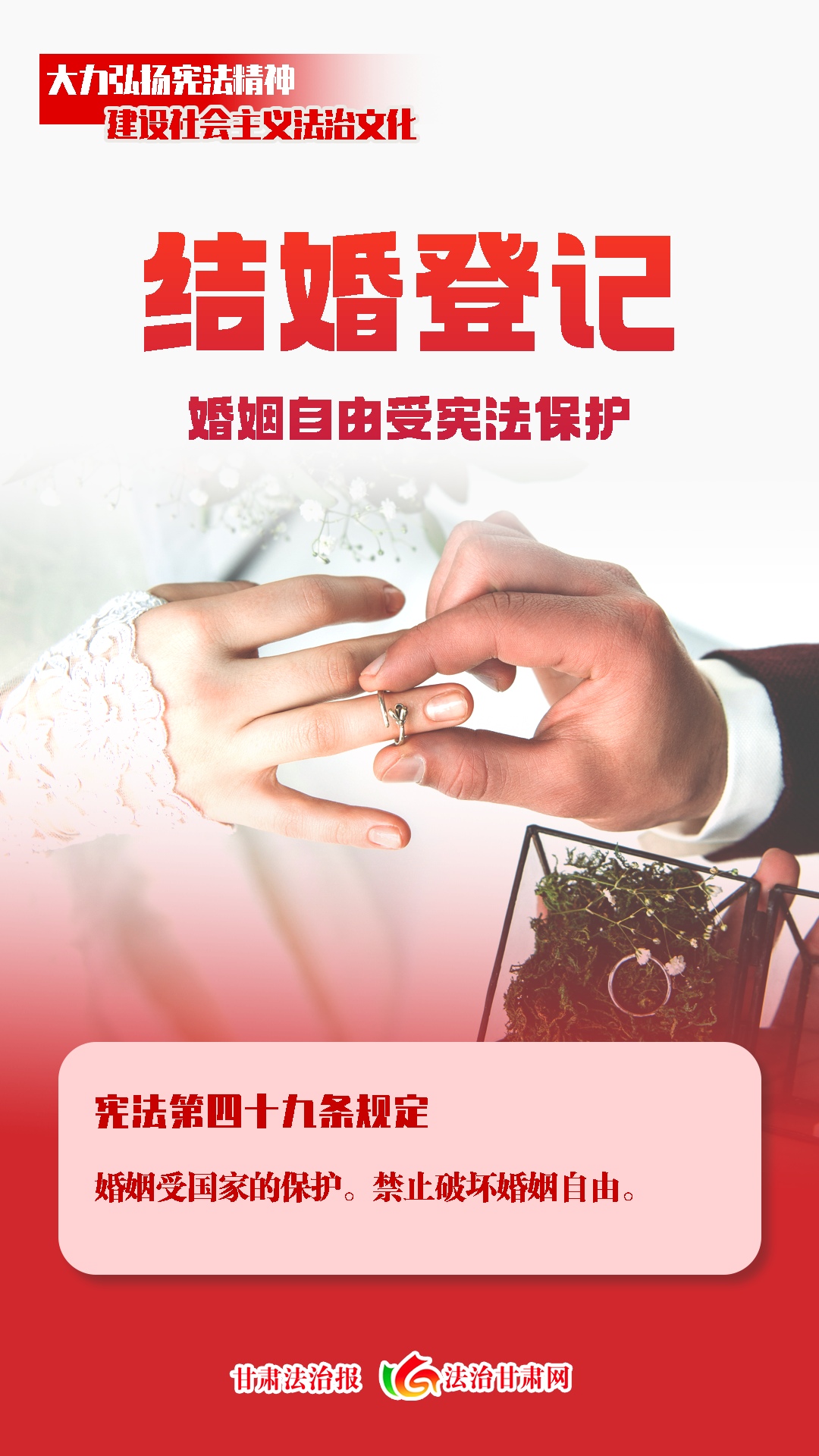 微信图片_20231204081727