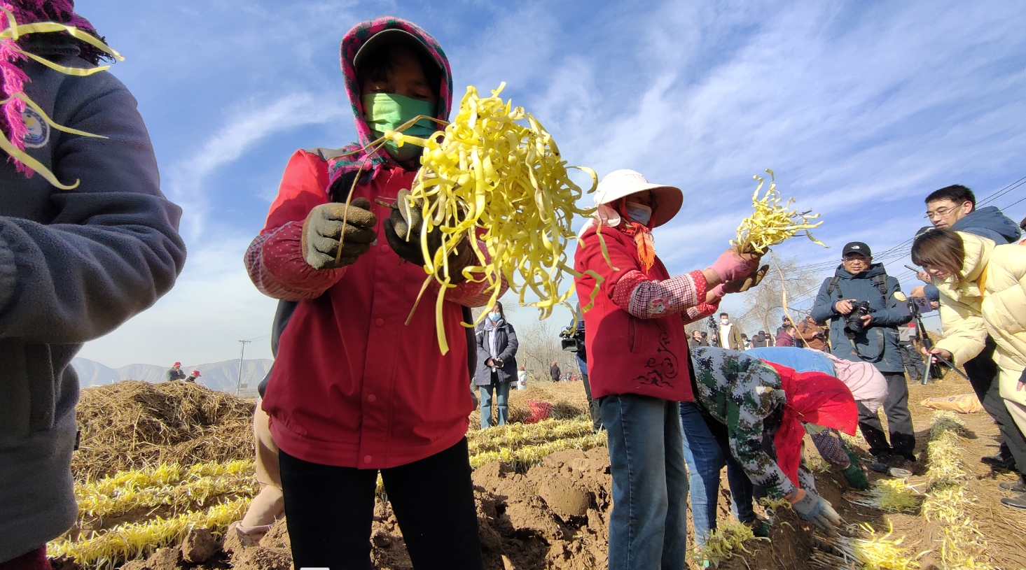 微信截图_20231218095047