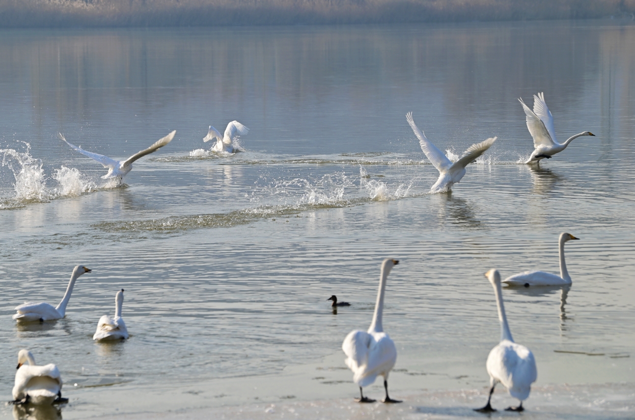 微信截图_20240105104423