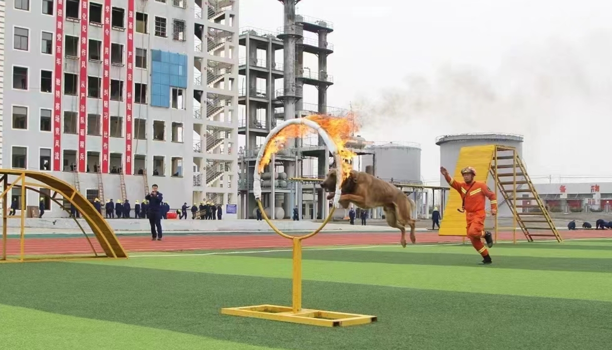 微信截图_20240125151219