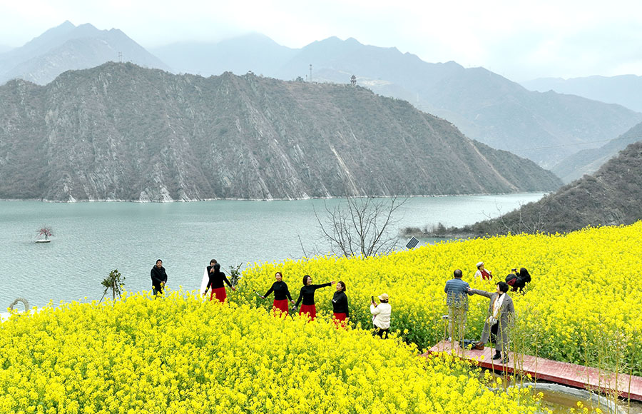 文县：油菜花开乡村美  农旅融合助增收(30471244)-20240314170353