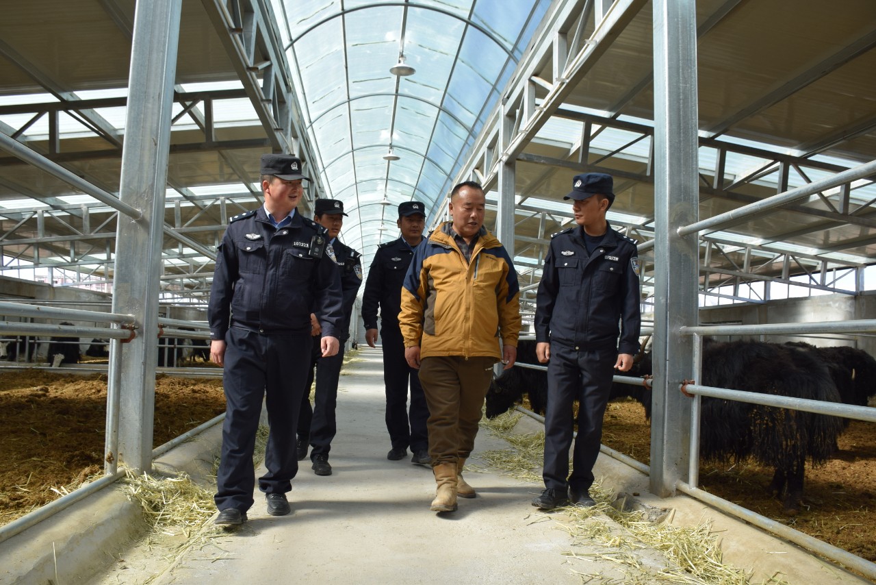（WAqEY图片新闻）夏河公安加强警企联(31061605)-20240402222938