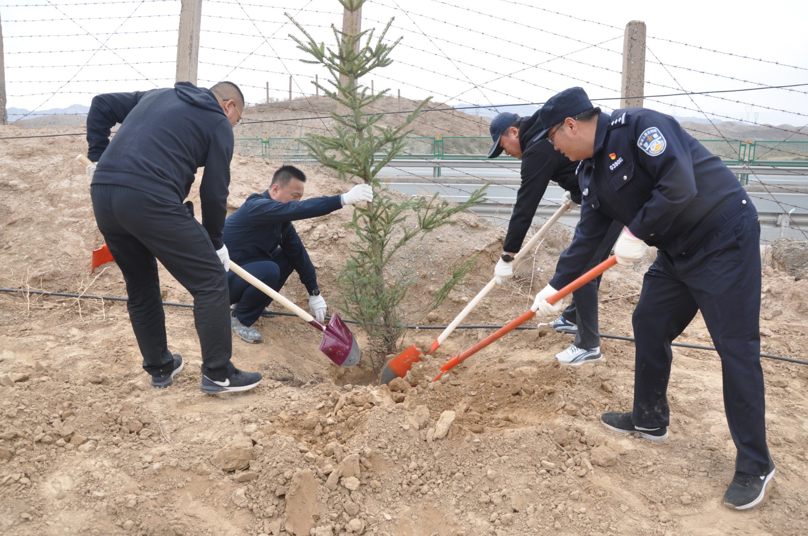 （AQEY）义务植树传播绿色理念(31239944)-20240419160349