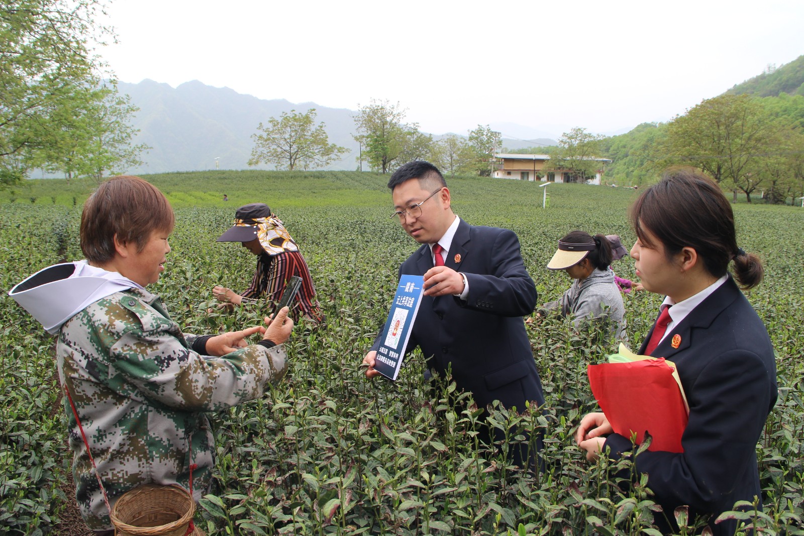 1 (wAqEY，配图，强法治稳预期）为(31431079)-20240423114015