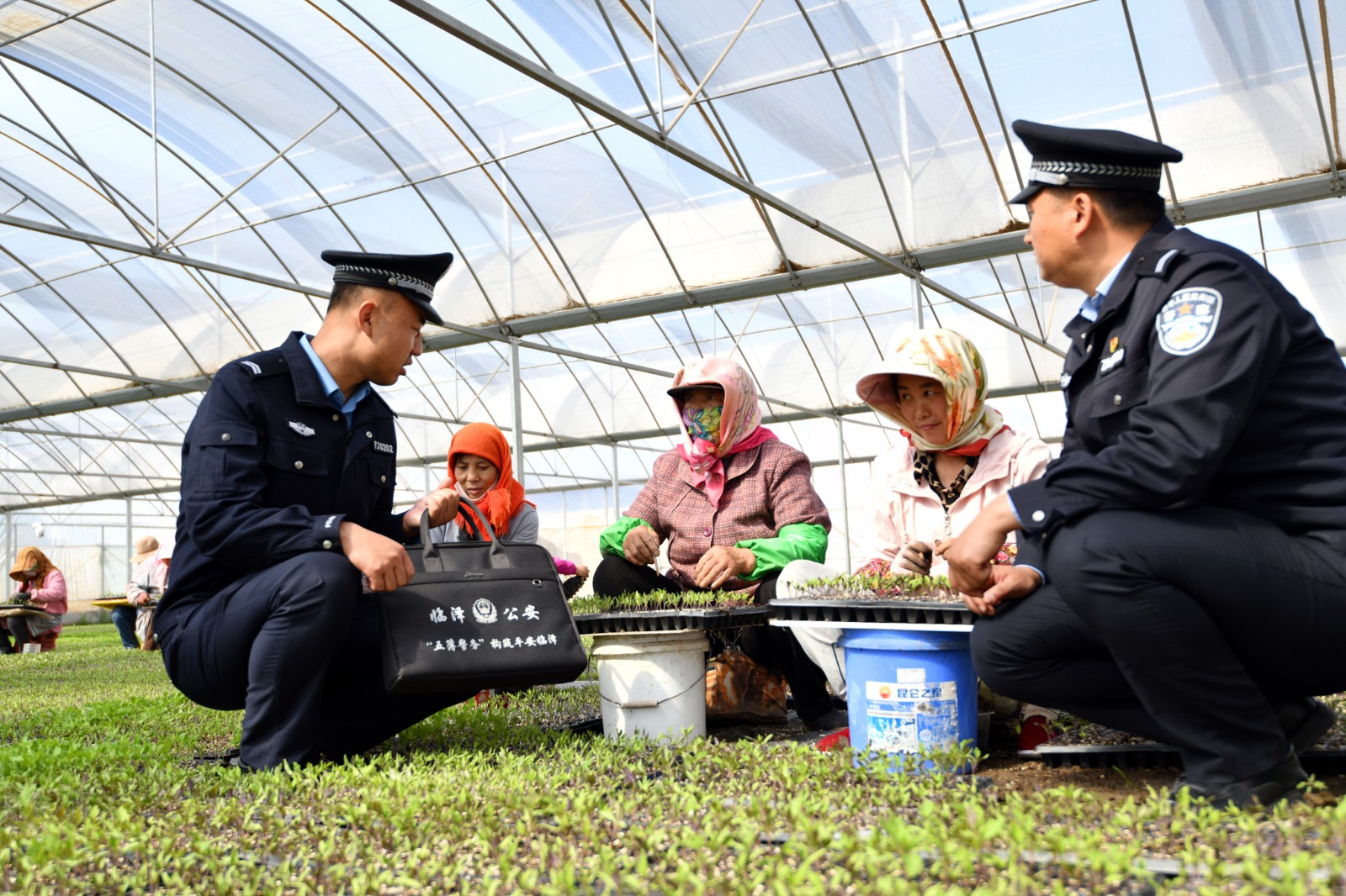 （AqEY 图片新闻）菜农育苗忙 公安来(31545077)-20240426105906