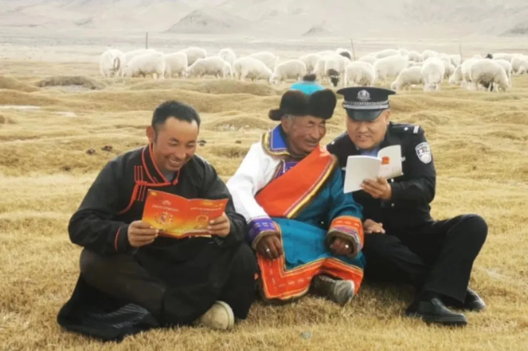 图片1