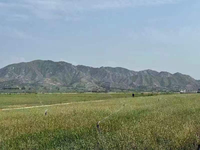 做好黄河流域司法保护“大文章”——山西省忻州两级法院以优质服务护航地区高质量发展