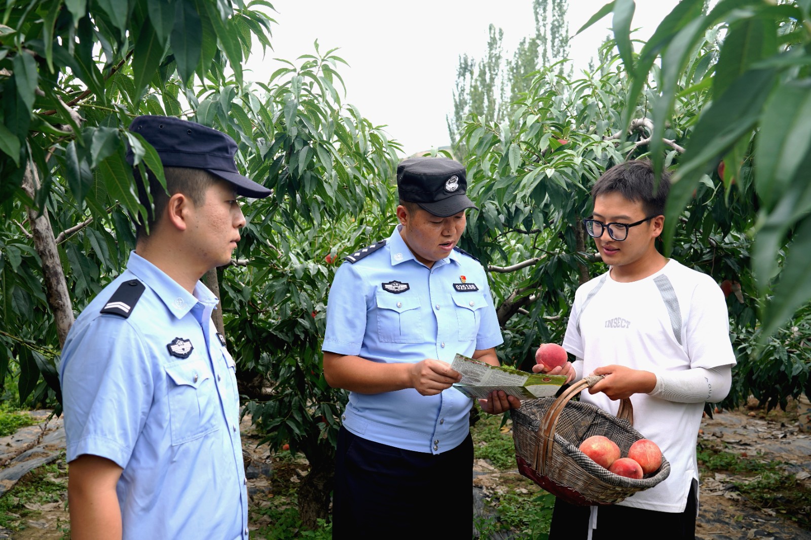 （AwQEY图片新闻）田间地头话安全(34142687)-20240809094735