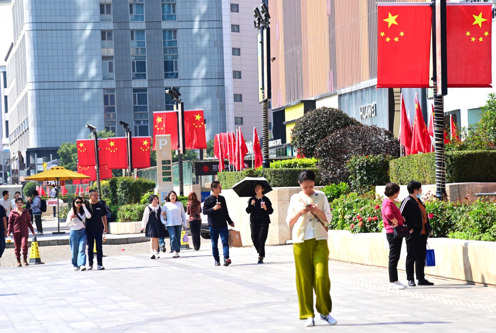 微信图片_20240926162840