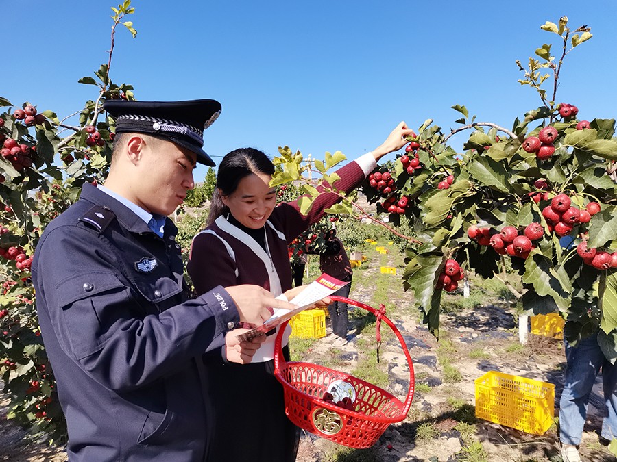（WAQEY，图片新闻）普法宣传走进山楂(35808949)-20241012151543