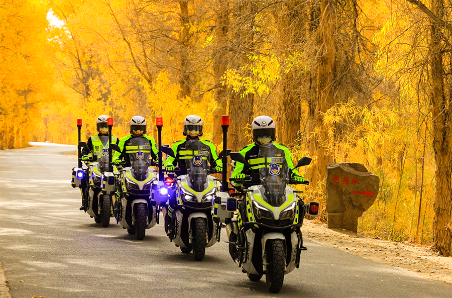 （qＹE    配图）景美如画 警护平安(36047625)-20241021092529